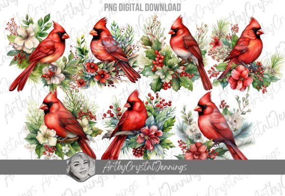Watercolor Floral Christmas Cardinal PNG Review for Illustrations